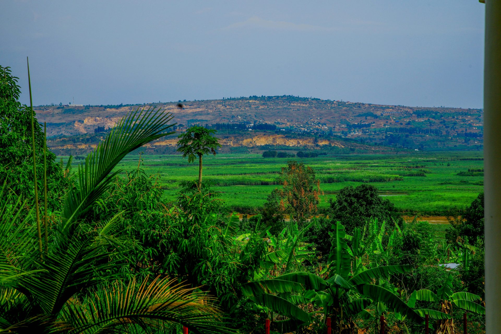 A view of a lush green valley from a house